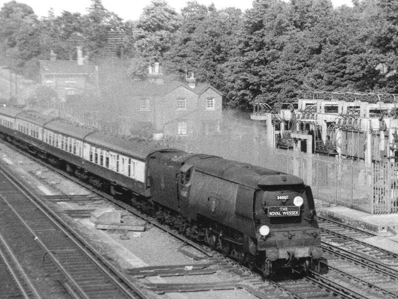 Down "Royal Wessex" at Weybridge