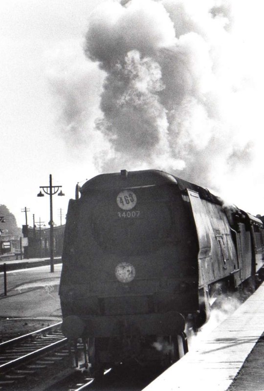 Wadebridge at Basingstoke