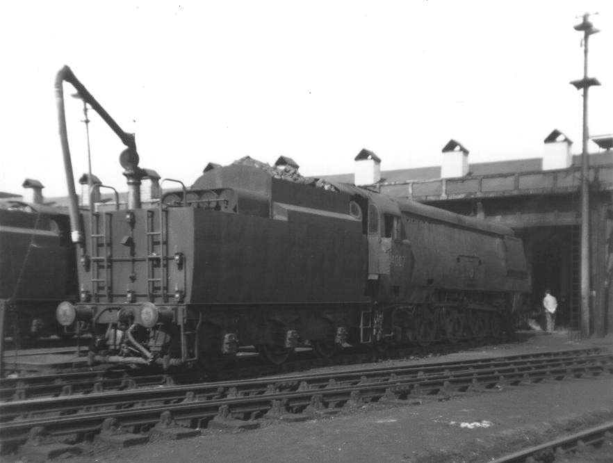 Taking water whilst on shed