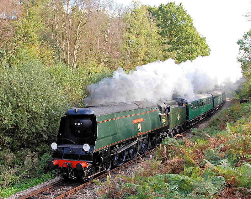 Passing Lindfield Wood